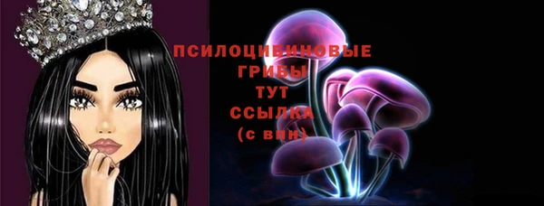 сатива Армянск