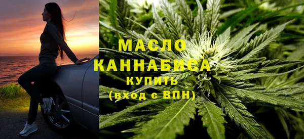 крисы Инта