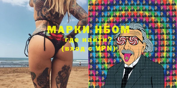 стаф Зеленокумск