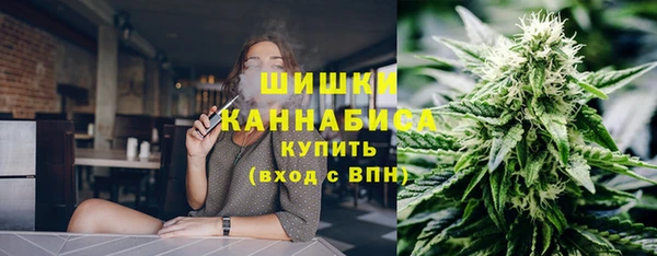 прущие крисы Аркадак