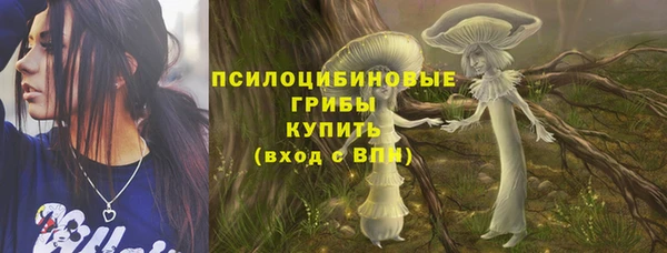 сатива Армянск