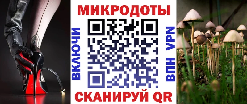 наркотики  Зубцов  Галлюциногенные грибы Magic Shrooms 